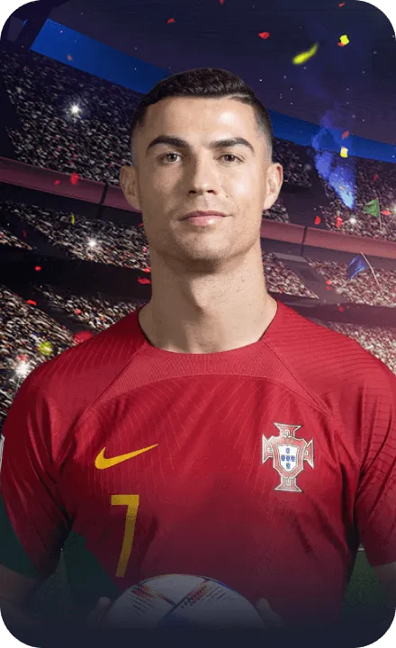 世界杯线上买球场馆